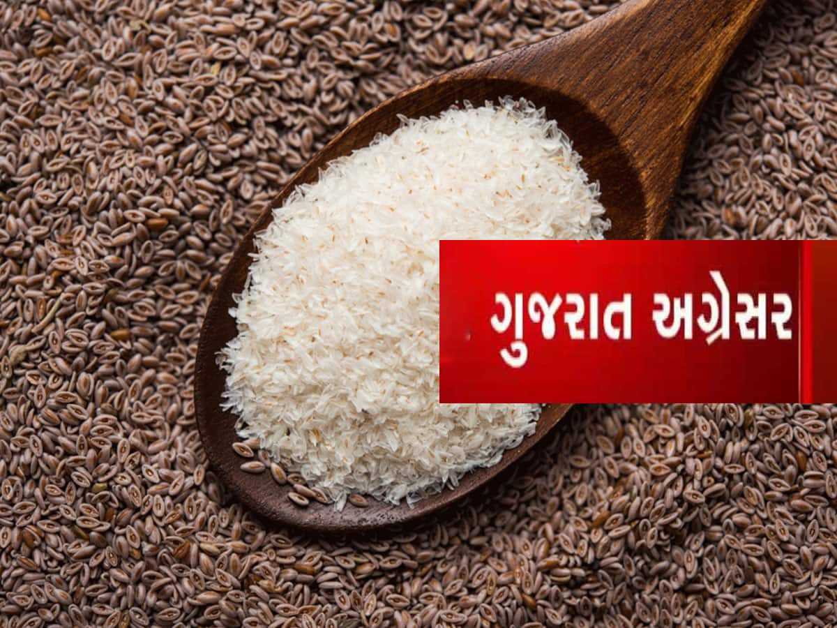 જગત જમાદાર અમેરિકા પણ આ વસ્તુ માટે ગુજરાત પાસે હાથ લંબાવે છે, ઉત્પાદનમાં ગુજરાત બન્યું નંબર 1 