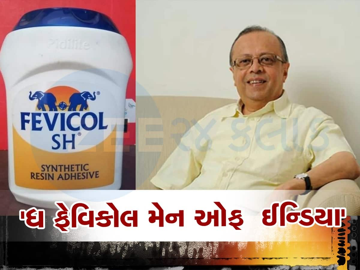 Pidilite Success Story: દર કલાકે એક કરોડનો સેલ, નાના પાયે શરૂઆત કરી આ ગુજરાતી બન્યા માર્કેટ કિંગ