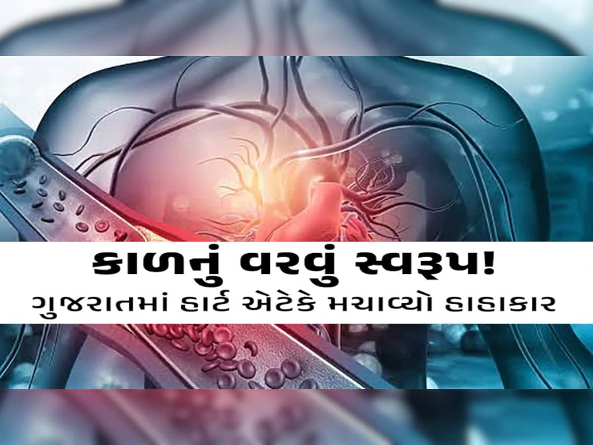 એક ભૂલ છીનવી શકે છે જિંદગી! ગુજરાતમાં 6 મહિનામાં હાર્ટ એટેકથી 1,052 મોત, 11-25 વર્ષમાં સૌથી વધુ