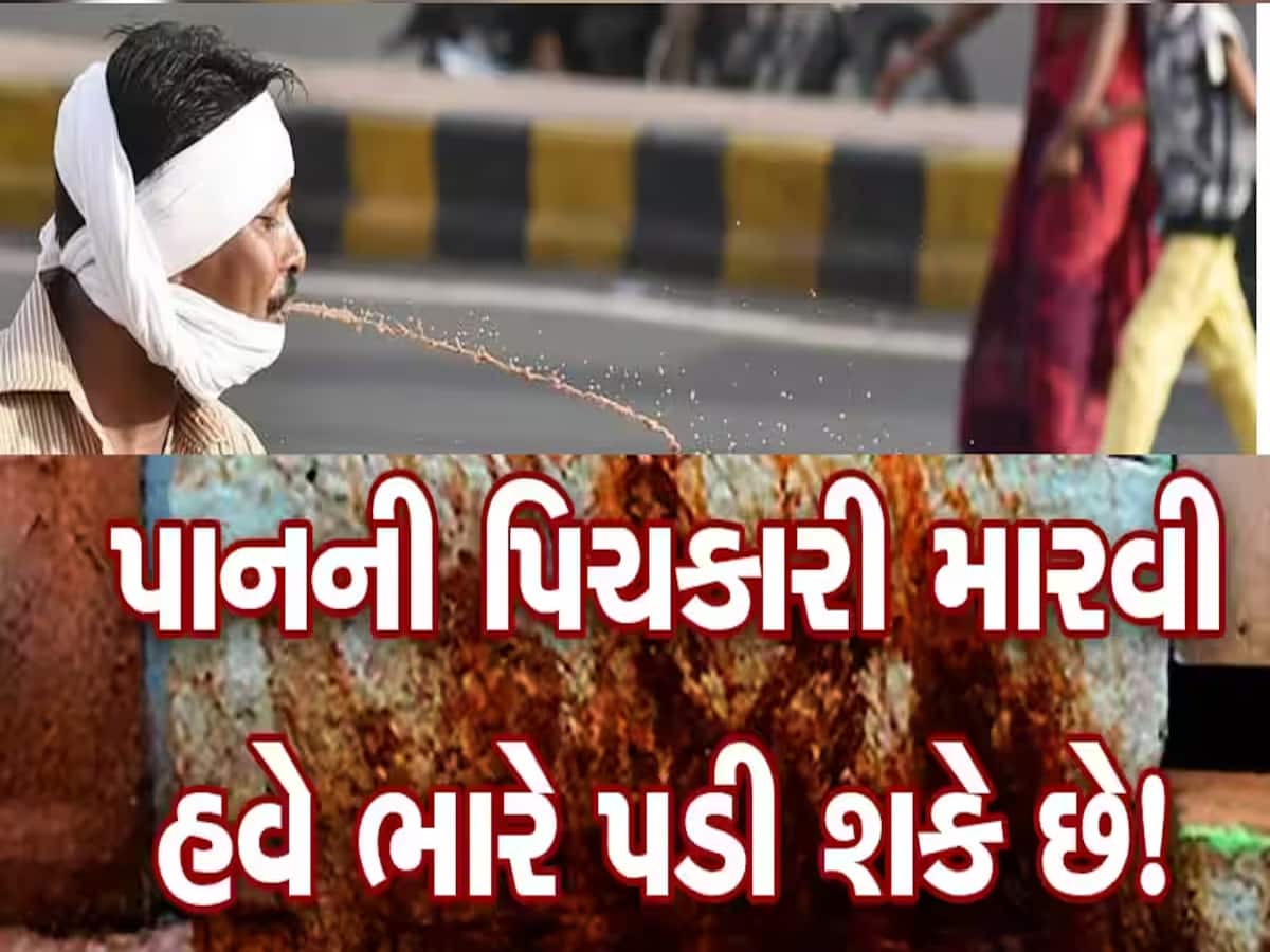 પાન મસાલા ખાઈને થૂંકતા લોકોને ગુજરાત સરકારની ચેતવણી, હવે બસમાં પણ કચરો ફેંક્યો તો મર્યા