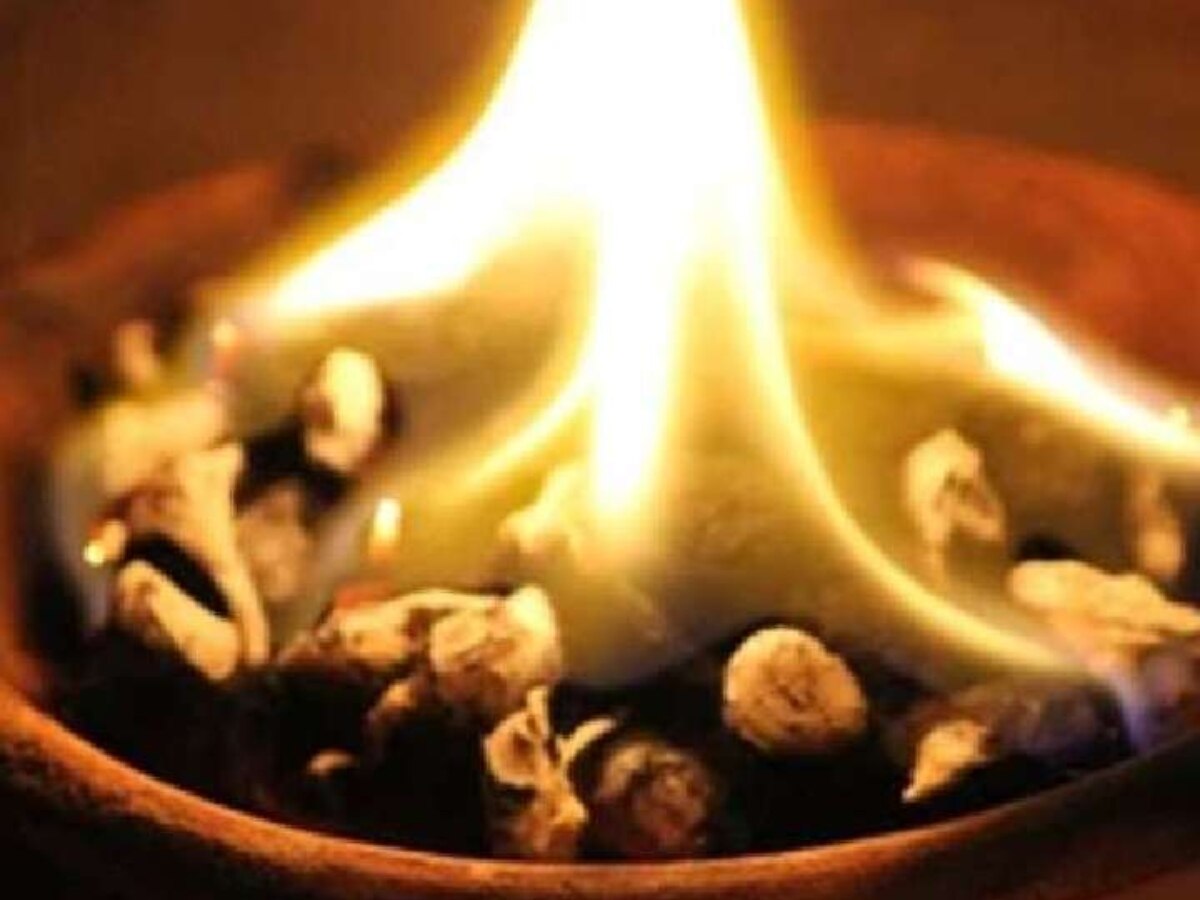 લવિંગ અને કપૂર