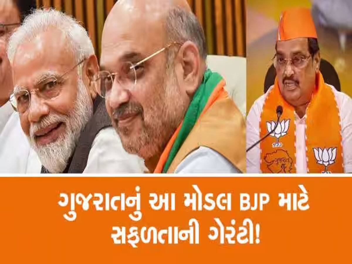 મધ્યપ્રદેશની જીતમાં ગેમ ચેન્જર સાબિત થયા ગુજરાતના આ 48 ધારાસભ્યો 