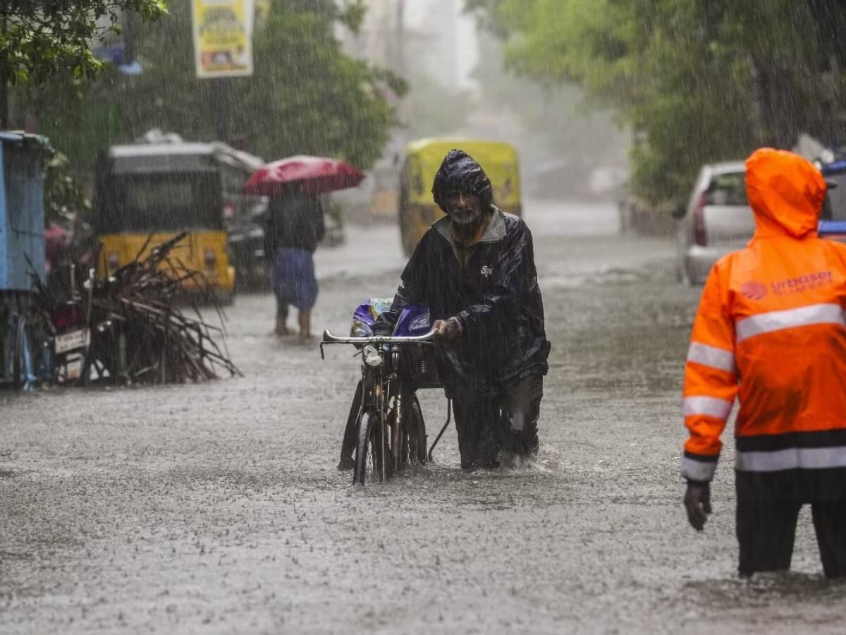 આવો વરસાદ 80 વર્ષમાં નથી થયો, મગરો નીકળ્યા રસ્તા પર; મિચોંગ આ રાજ્યોમાં પણ તબાહી મચાવશે