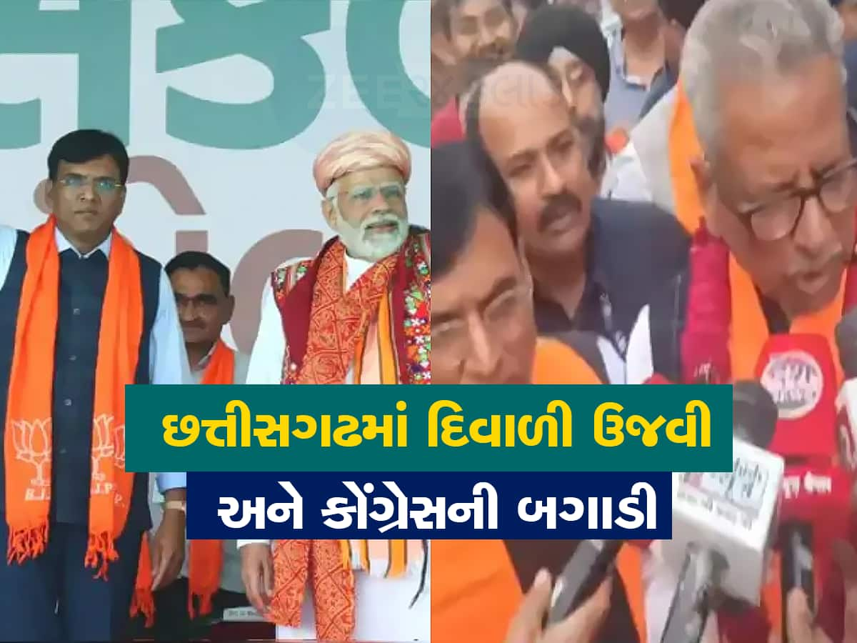 અમિત શાહ બાદ ચૂંટણીના ચાણક્ય સાબિત થયા મનસુખ માંડવિયા, ગુજરાતી નેતાનું દિલ્હીમાં કદ વધ્યું