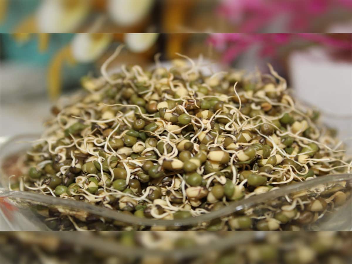 Sprouts Benefits: નાસ્તામાં ફણગાવેલા મગ ખાવાથી થતા ફાયદા વિશે જાણો છો તમે ? જાણીને રોજ ખાવા લાગશો
