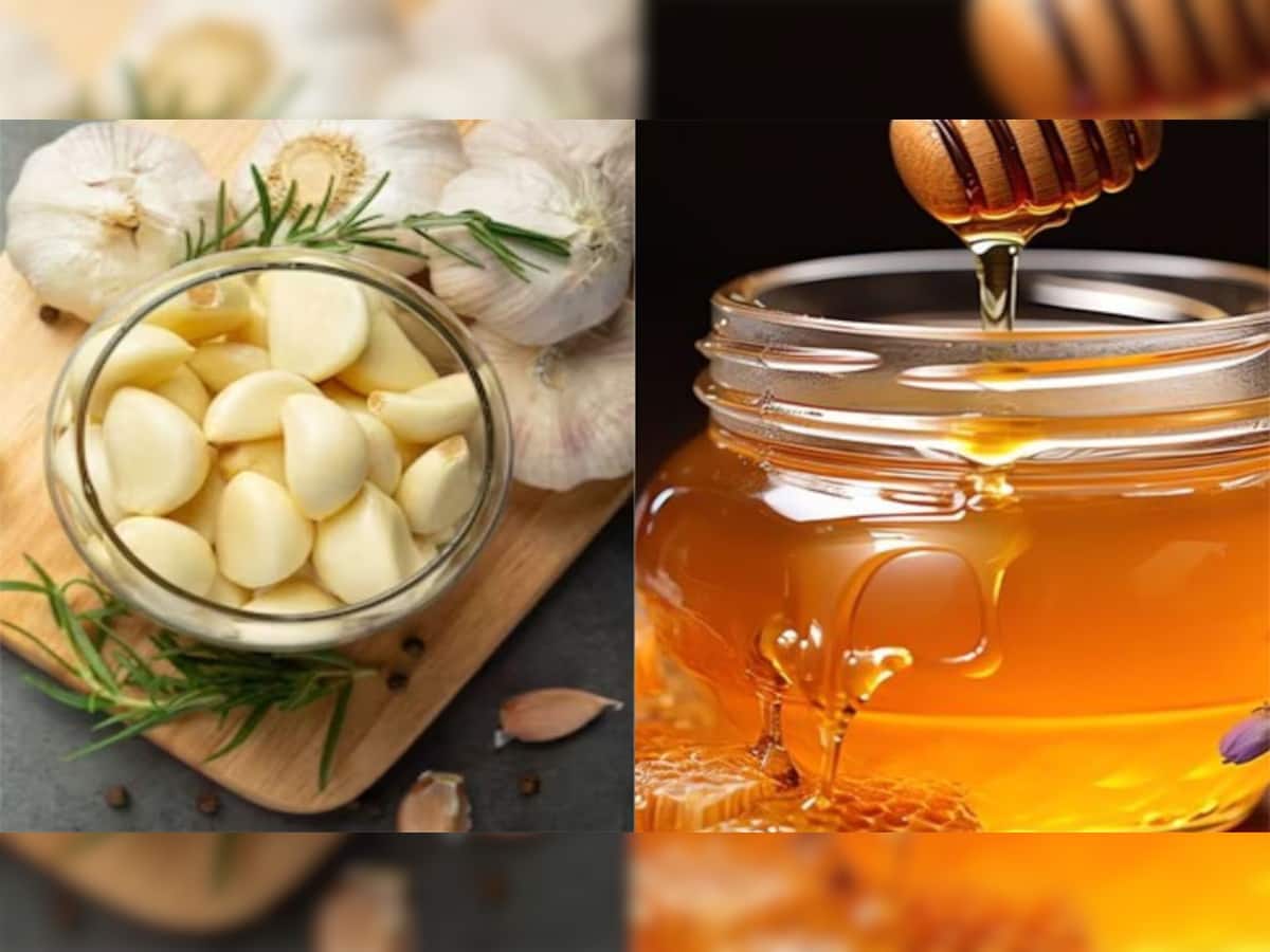 Garlic and Honey: રોજ સવારે સાદું લસણ નહીં આ ખાસ ઔષધીવાળું લસણ ખાવાથી બીમારી થશે છુમંતર