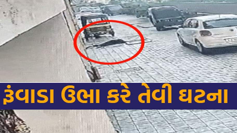 સુરતમાં હચમચાવતી નાંખે તેવી હત્યા; યુવકે યુવતીને ઘરે બોલાવી 10મા માળેથી નીચે ફેંકી