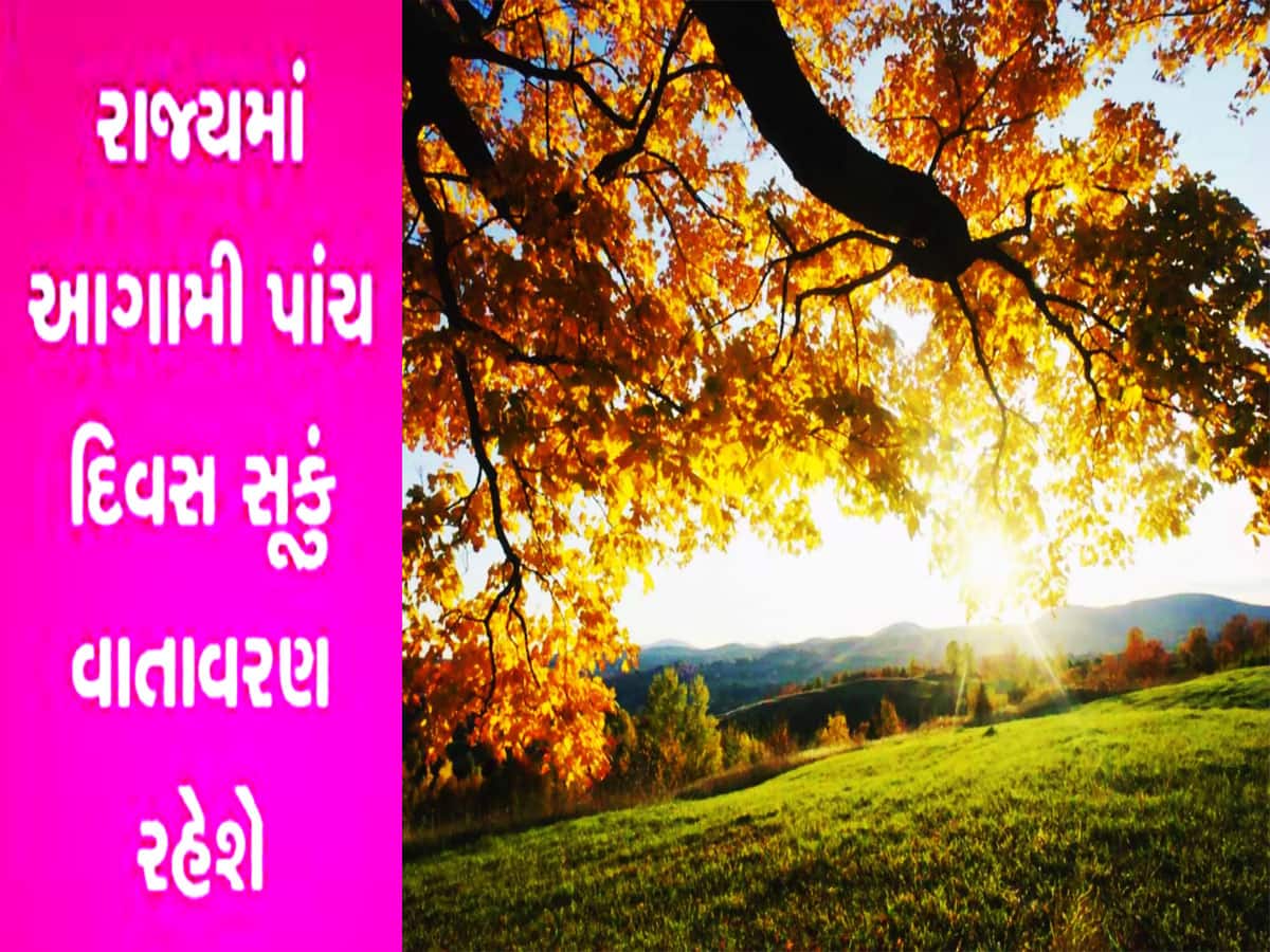 ગુજરાતમાં આગામી પાંચ દિવસ કેવું રહેશે વાતાવરણ? જાણો મહિનો પુરો થતા-થતા શું થશે દશા