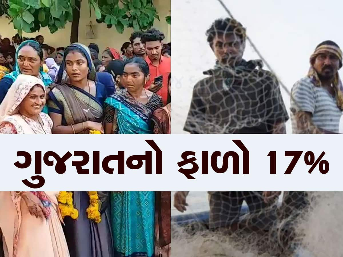 ગુજરાત સરકારની આ યોજના જબરજસ્ત ફળી! પરિવારોની આવકમાં સીધો 4 લાખનો તોતિંગ વધારો થયો