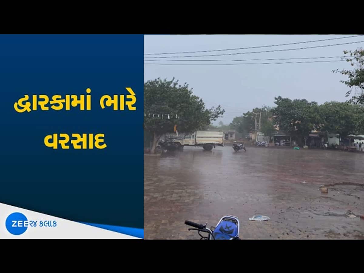 ભર શિયાળે ગુજરાતના આ જિલ્લામાં ગાજવીજ સાથે તૂટી પડ્યો વરસાદ, એલર્ટ પર આ વિસ્તારો
