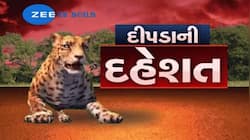 ગાંધીનગરના લોકો થઈ જાઓ સાવધાન! આદમખોર દીપડો તમારા પરિવારને કરી શકે છે નુકસાન