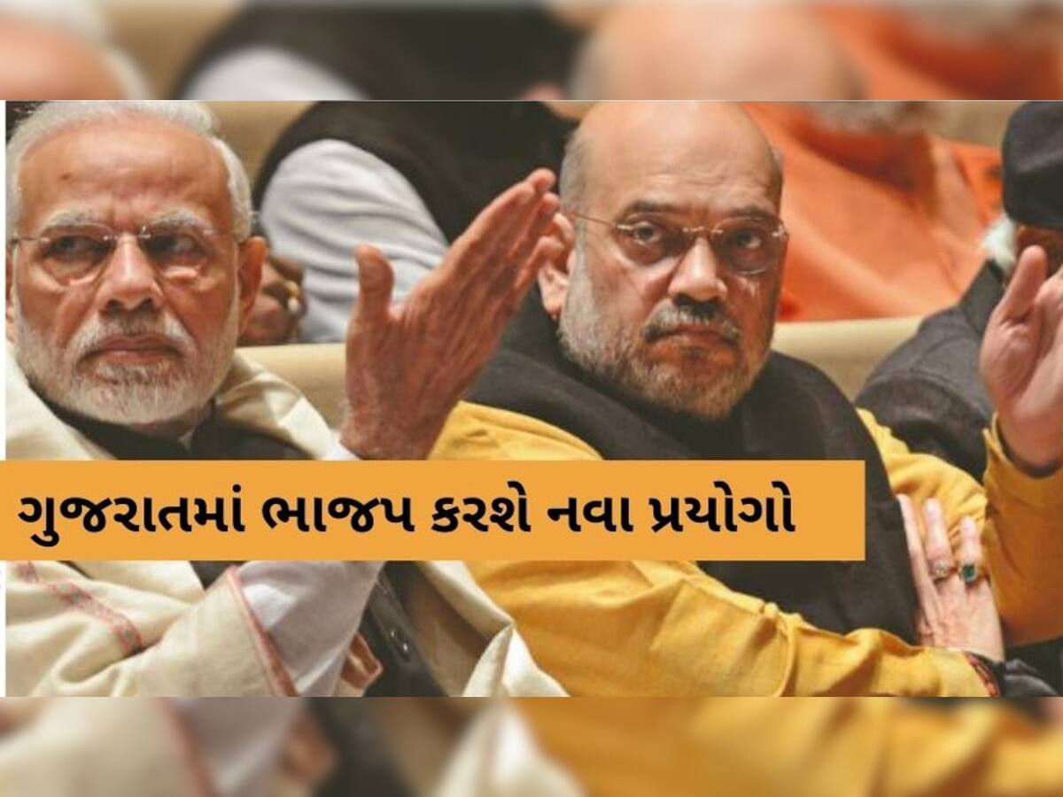 નવા નેતા નવી જવાબદારી! ભાજપના મોટા નેતાઓને ગુજરાત બહાર ધકેલાશે, ચૂંટણી પ્રભારી બનાવાશે