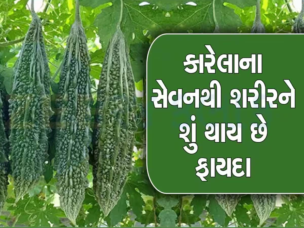 Myth & Facts: શું ડાયાબિટીઝમાં ફાયદાકારક હોય છે કારેલા? જાણો શું કહે છે એક્સપર્ટ્સ