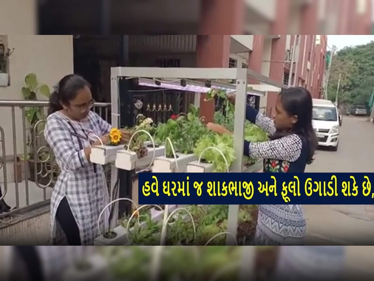 હવે ઘરમાં પણ સૂર્યપ્રકાશ કે જમીન વિના ઉગાડી શકાશે શાકભાજી; ગુજરાતની ત્રણ વિદ્યાર્થીનીઓએ બનાવ્યો સફળ પ્રોજેક્ટ