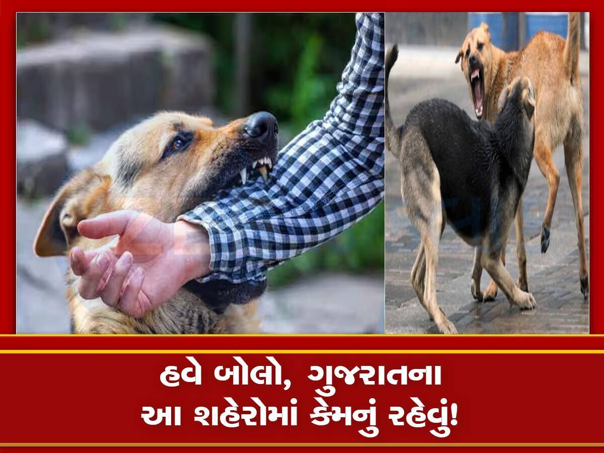 ગુજરાતમાં કૂતરાઓથી બચીને રહેજો, રોજ 700થી વધુ લોકોને કરડી રહ્યા છે, અઢી લાખ લોકો બન્યા શિકાર 