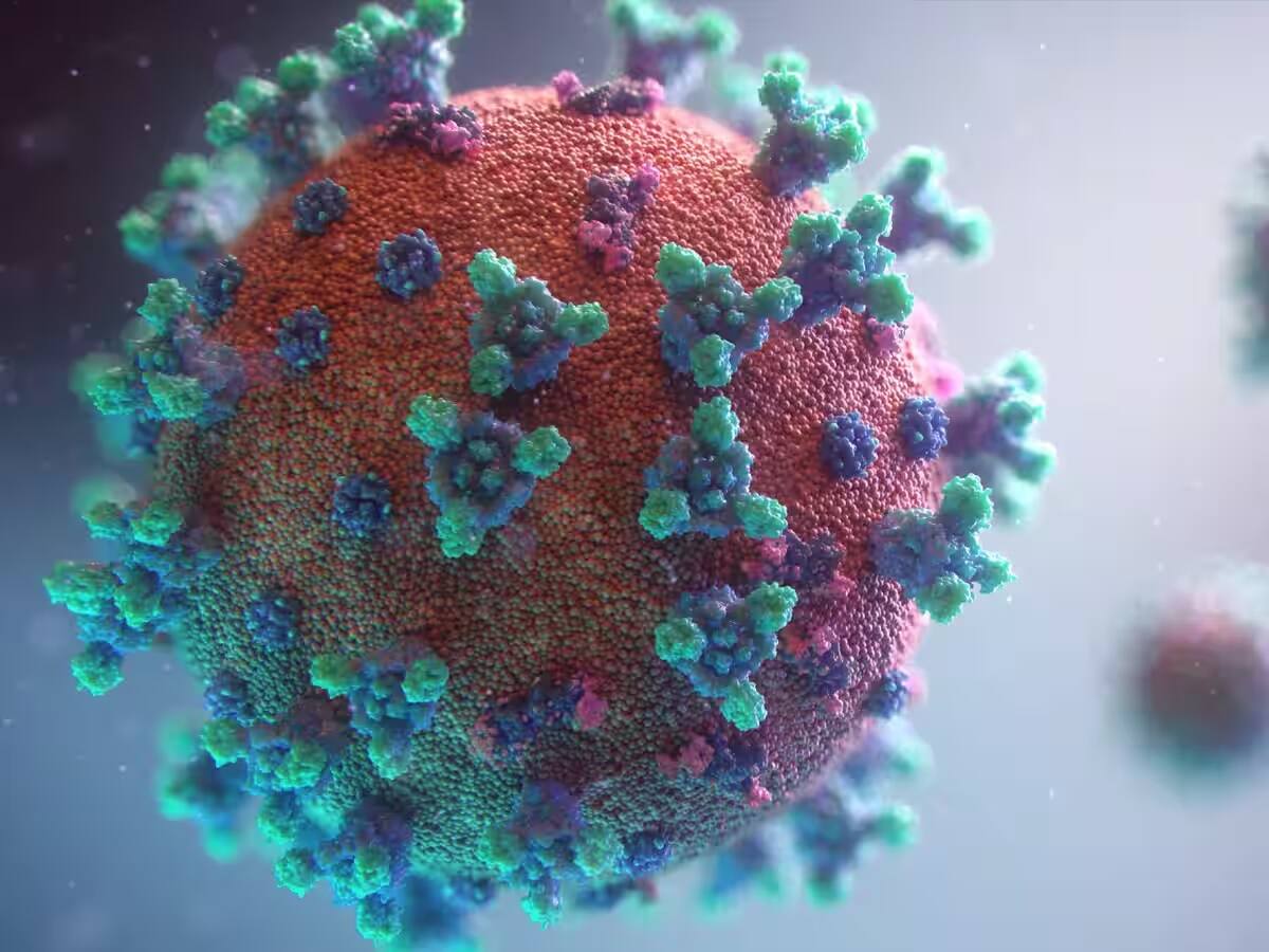 Corona virus Cases: ડરાવવા લાગ્યો કોરોના વાયરસનો વેરિએન્ટ JN.1, દેશભરમાં 110 કેસ
