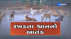 ગુજરાતમાં હવે ઘરની બહાર રમતાં બાળકો પણ સલામત નથી! 6 વર્ષની બાળકી પર હુમલો