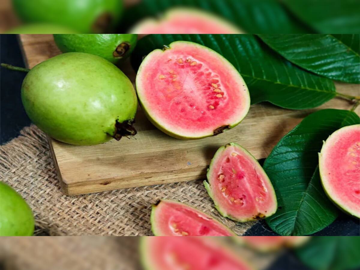 Pink Guava: અનેક ગુણોનો ભંડાર છે ગુલાબી જામફળ, બ્લડ સુગર કંટ્રોલમાં રાખવા ઉપરાંત કરે છે આટલા ફાયદા
