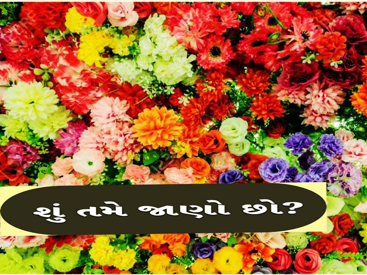 ગેરંટી સાથે કોઈને નહીં હોય ખબર! શું તમે જાણો છો ક્યાંથી આવે છે ફૂલોમાં રંગ?