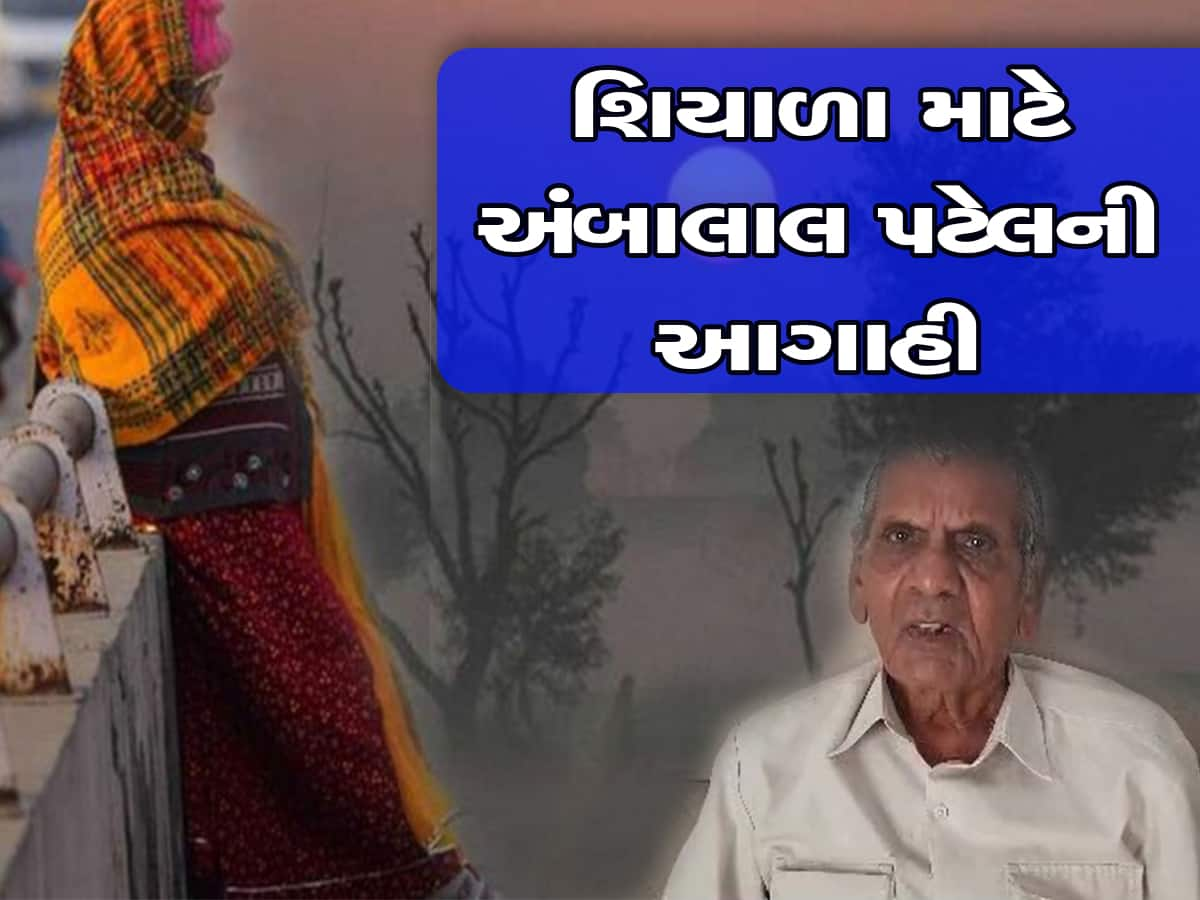 હવામાન વિભાગના લેટેસ્ટ અપડેટ : ગુજરાતમાં અચાનક વાતાવરણ પલટાયું, હિમાલય જેવી કાતિલ ઠંડીની આગાહી 