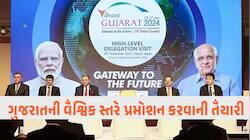 ગુજરાતમાં રશિયાના 200 બિઝનેસમેનો આવશે, આ મોટા મહેમાનો સાથે PMની દેખાશે ખાસ જુગલબંધી