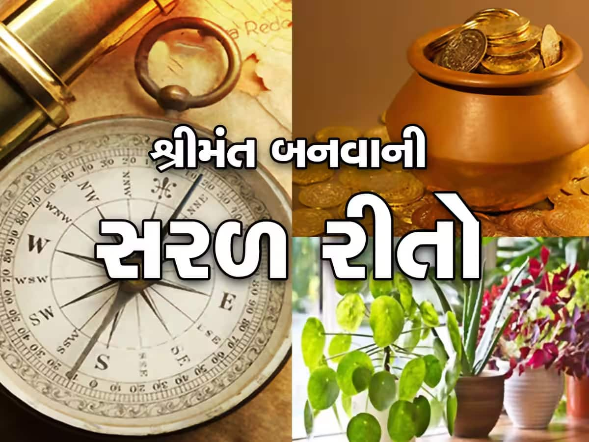 Vastu Tips: આ 3 કામ તમને બનાવી શકે છે કરોડપતિ, આ ઉપાયોથી મા લક્ષ્મીનો થશે વાસ