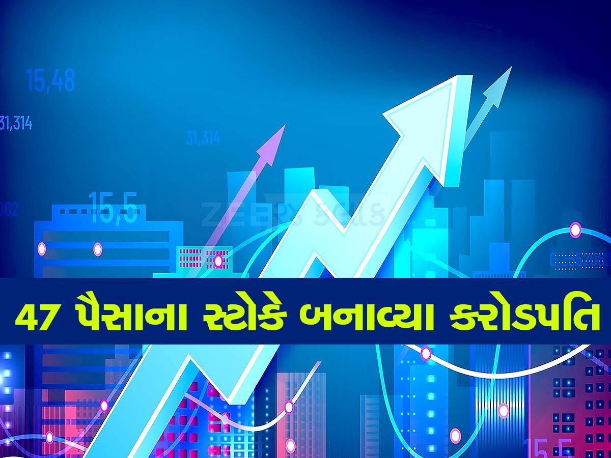 Multibagger Stock: માત્ર 22000 ના રોકાણ પર બનાવી દીધા કરોડપતિ, આ સરકારી સ્ટોકે કરાવી બમ્પર કમાણી