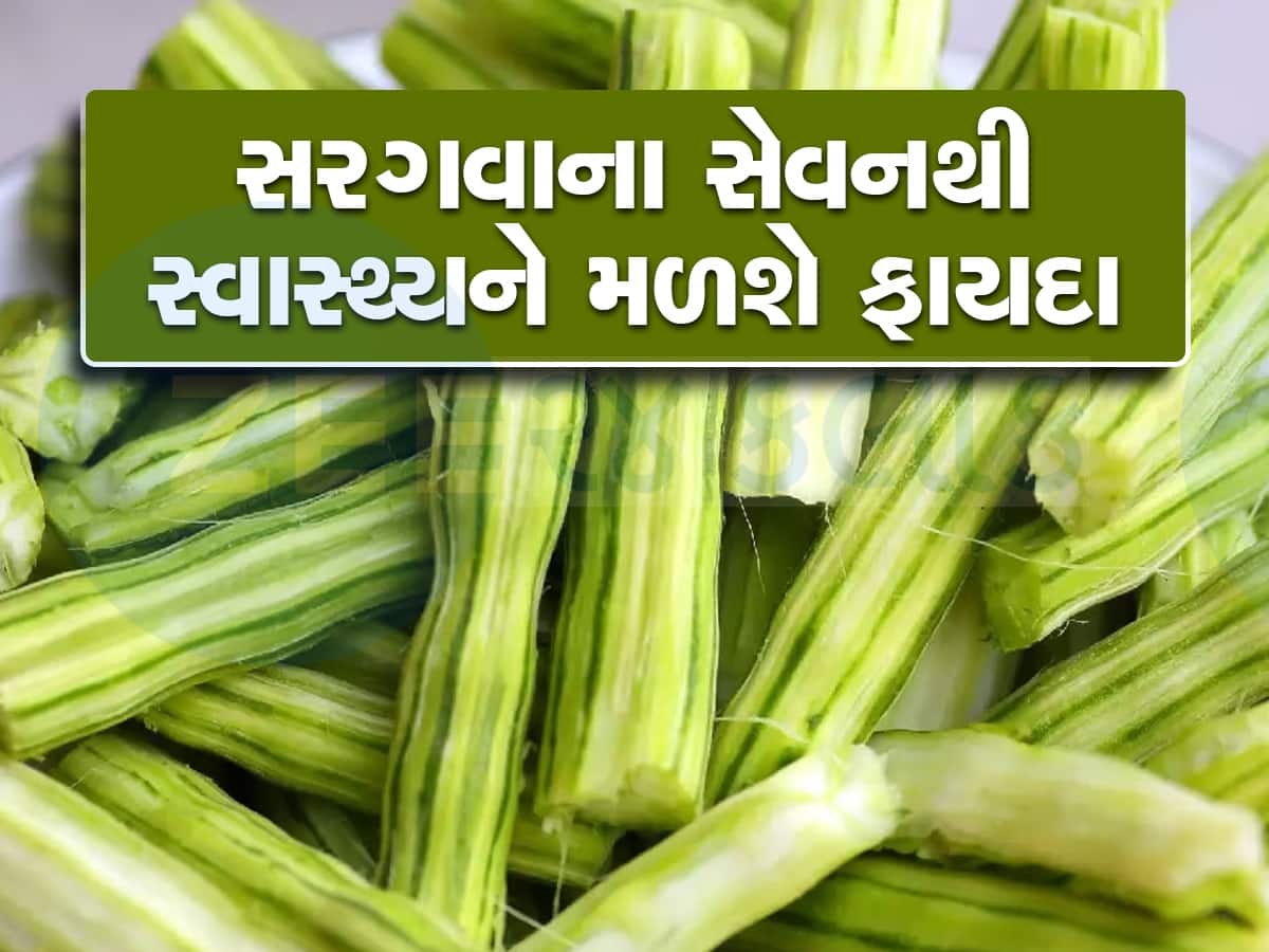 શિયાળામાં સરગવાનું સેવન અમૃત સમાન, આ ગંભીર બીમારીઓ થશે દૂર, જાણો ફાયદા