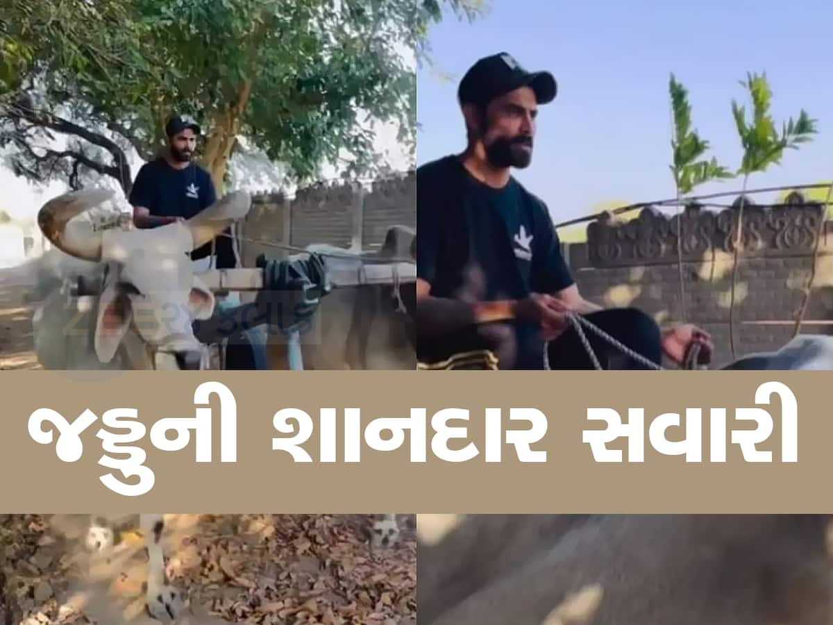 પોતાના ફેવરિટ ક્રિકેટરને બળદગાડું ચલાવતા જોઈ ફેન્સ પણ ચોંકી ગયા, વીડિયોને મળી લાખો લાઈક્સ