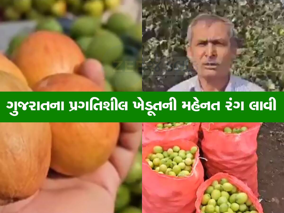 આ ગુજ્જુ ખેડૂતને શોધતા આવે છે વેપારીઓ, માર્કેટમાં ગયા વગર વેચાઈ જાય છે માલ