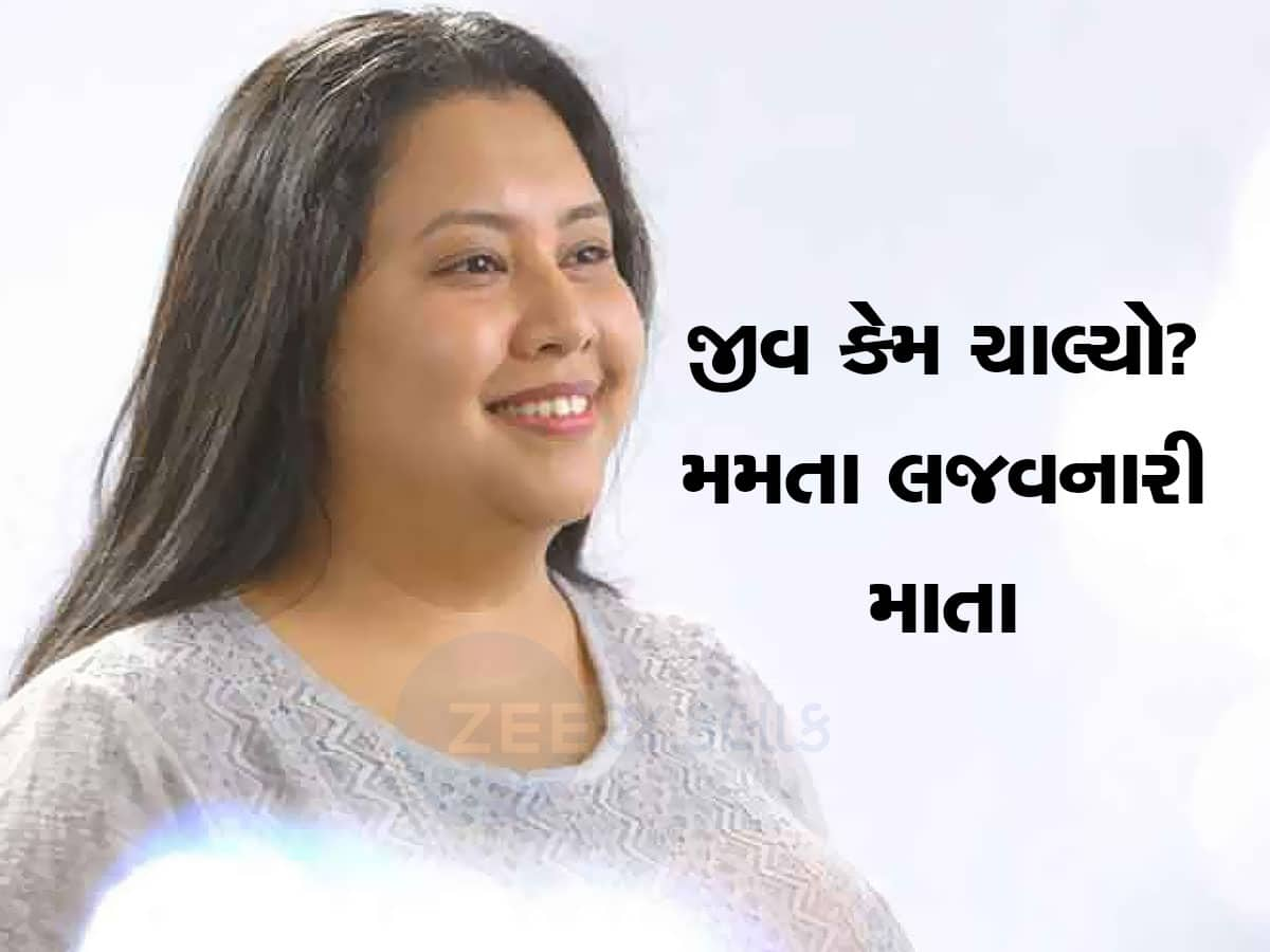 કળિયુગી માતાએ પોતાના 4 વર્ષના માસૂમ પુત્રને મોતને ઘાટ ઉતાર્યો અને લાશ બેગમાં ભરીને નીકળી પડી