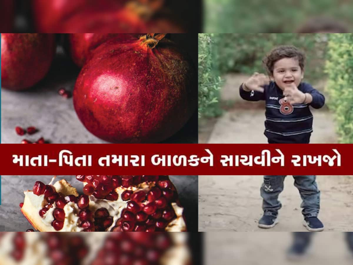 લાલબત્તી સમાન કિસ્સો; દોઢ વર્ષના બાળકના ગળામાં દાડમનો દાણો ફસાઈ જતા કરૂણ મોત, જન્મદિનની ખુશી માતમમાં ફેરવાઇ 