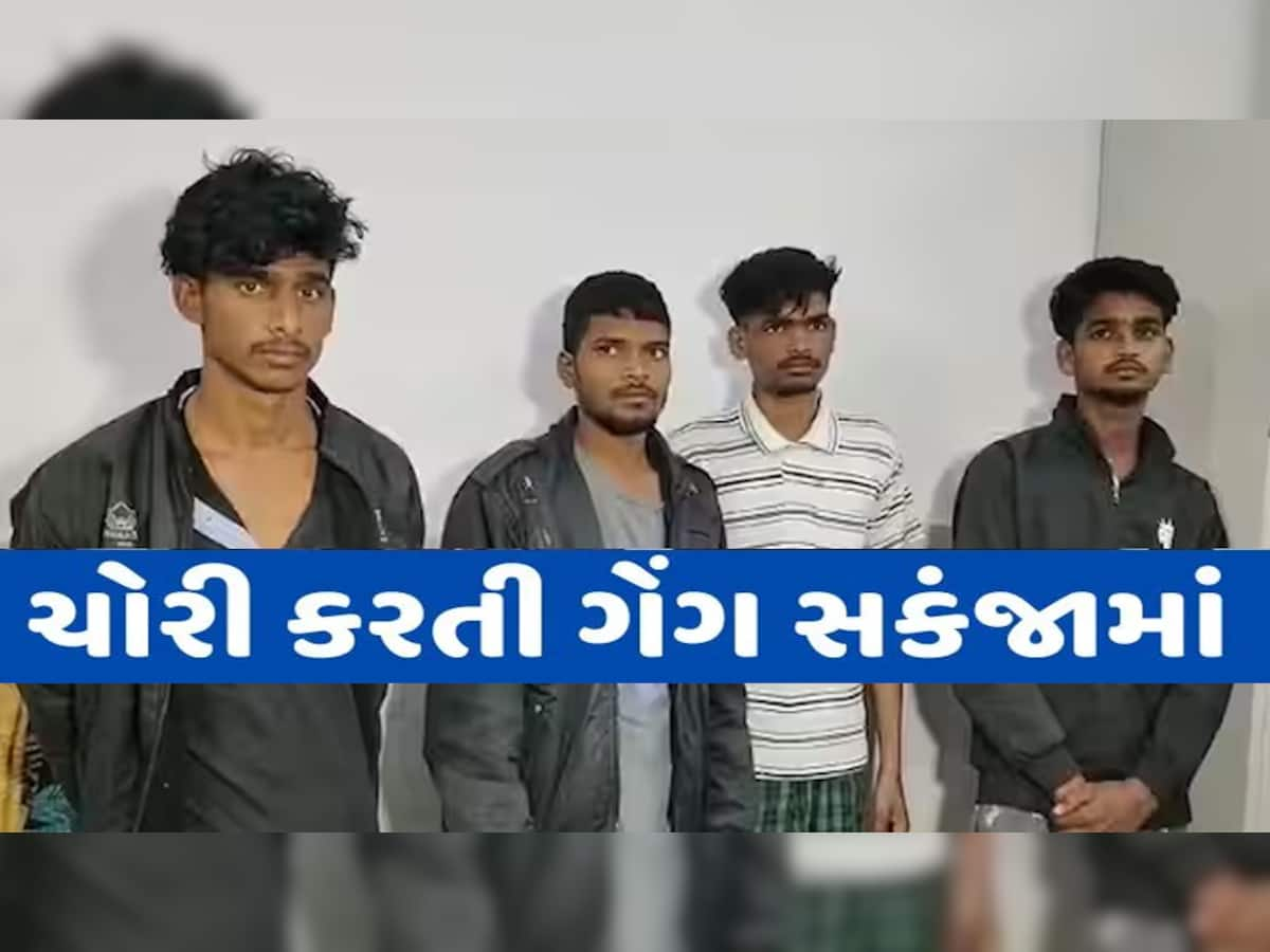 સૌરાષ્ટ્રમાં આતંક મચાવનાર ખૂંખાર 'કિંગ ગેંગ'નો પર્દાફાશ, 14 ગુનાનો ભેદ ઉકેલાયો, આ રીતે દબોચ્યા