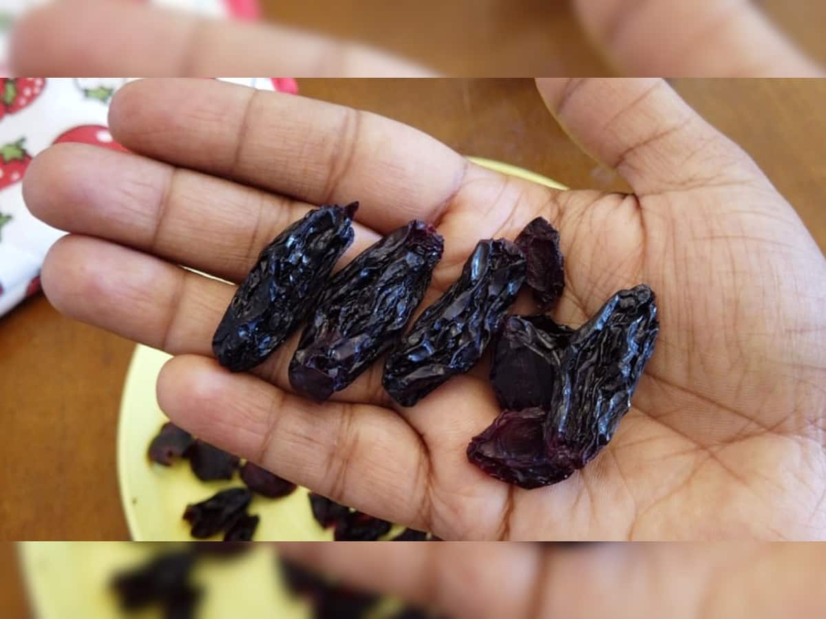 Black Raisins: મહિલાઓ માટે વરદાન છે આ કાળી વસ્તુ, માસિક અને હોર્મોન્સ સંબંધિત સમસ્યા કરે છે દૂર