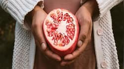 Health Tips: ફર્ટિલિટી વધારવામાં મદદ કરે છે આ ફળ, ખાવાથી મહિલાઓને થાય સૌથી વધુ ફાયદા