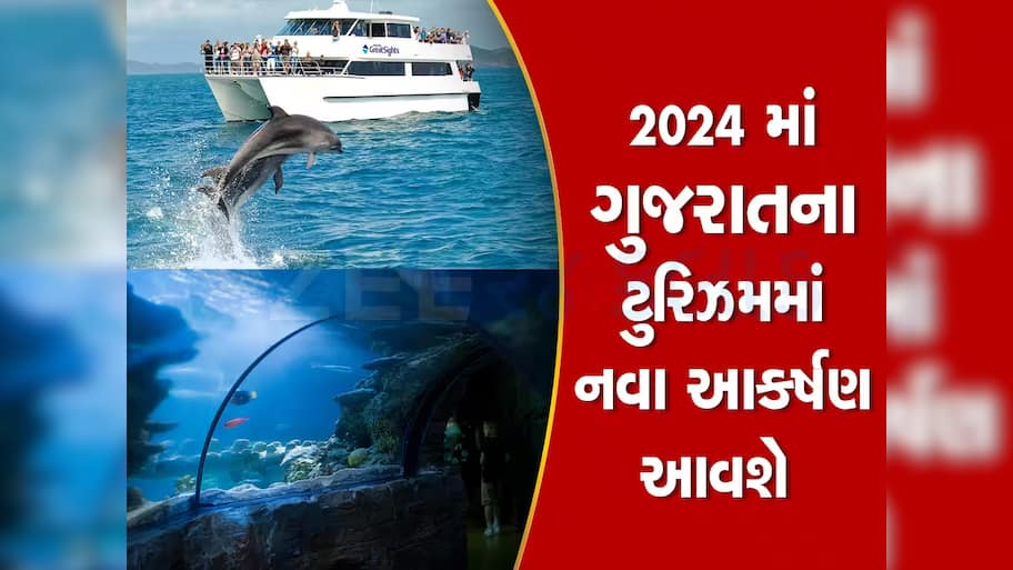 દ્વારકાના દરિયામાં હવે માણી શકાશે ક્રૂઝની મજા, વિદેશની જેમ લોકો પાણીમાં જોઈ શકશે ડોલ્ફીન!