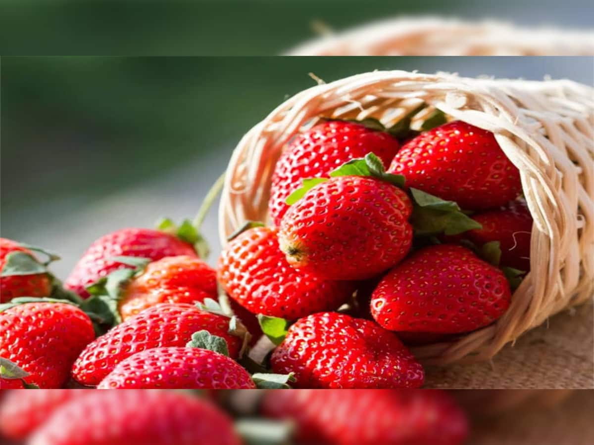 Strawberry Benefits: શિયાળામાં સ્ટ્રોબેરી ખાવી જરૂરી, શરીરની આ સમસ્યાનો થઈ જશે ખાતમો