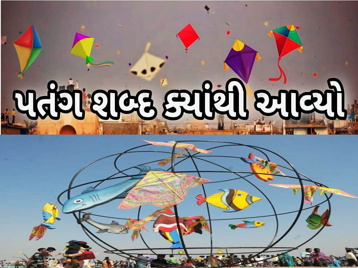 UTTARAYAN: ક્યાંથી આવ્યો પતંગ શબ્દ? જાણો કેમ ઉત્તરાયણ પર જ ચગાવાય છે પતંગ