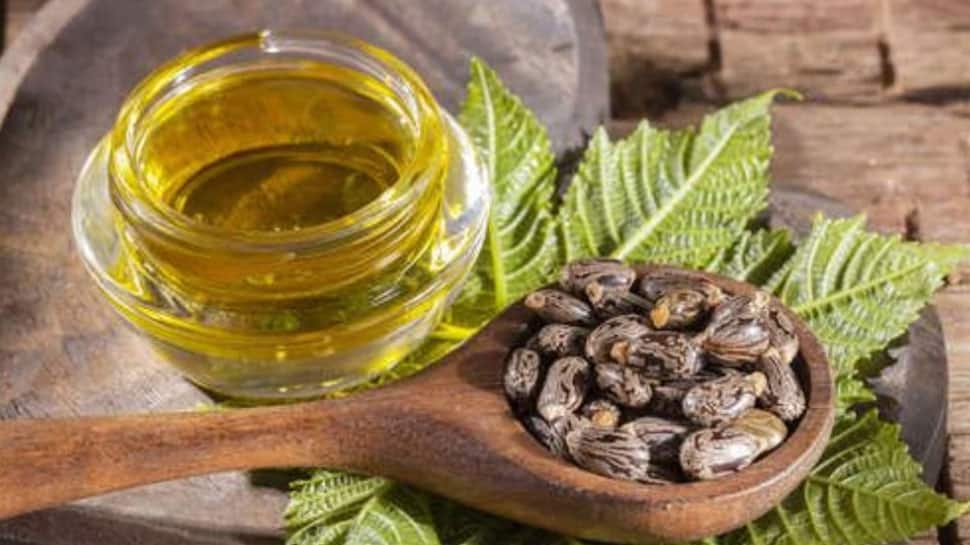 Castor Oil વાળના ગ્રોથથી લઈને પેટ સાફ કરવા સુધીના ફાયદા કરે છે કેસ્ટર ઓઈલ