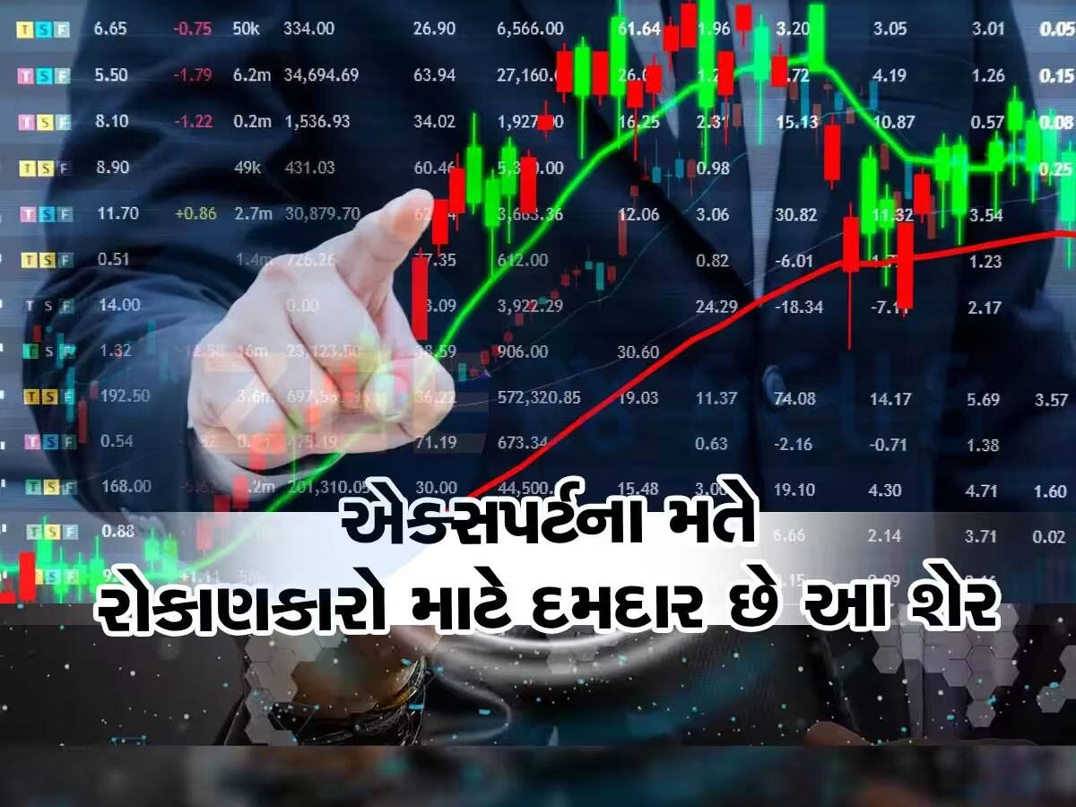 Top 20 Stocks: આ 20 શેરો બનાવશે ધનકુબેર! જે લેશે એ કમાઈ જશે, જાણો ...