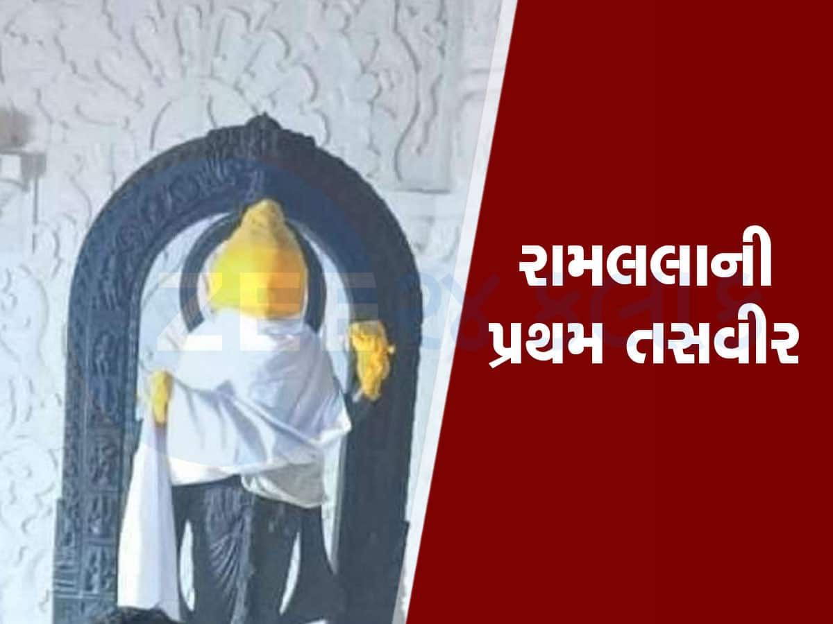 પ્રાણ પ્રતિષ્ઠા પહેલા જોવા મળી રામલલાની ઝલક, જુઓ ગર્ભગૃહમાં બિરાજમાન રઘુનંદનની મનમોહક તસવીરો