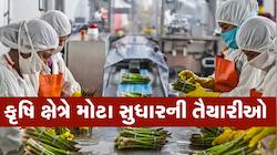 બાયોડેટા તૈયાર રાખજો: ગુજરાતમાં આ ક્ષેત્રે મોટી ક્રાંતિ આવશે, ખુલશે મોટી રોજગારી