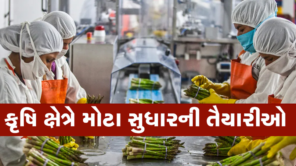 બાયોડેટા તૈયાર રાખજો: આ ક્ષેત્રે મોટી ક્રાંતિ આવશે, ગુજરાતમાં ખુલશે મોટી રોજગારી