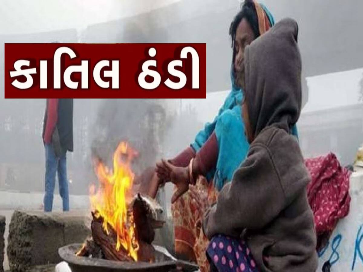 ગુજરાતમાં ચિલ્લાઈ કલા : એવા જોરદાર પવનો ફૂંકાયા કે 9 શહેરોમાં સરેરાશ ઠંડીનો પારો ગગડ્યો 