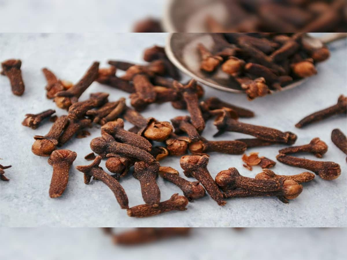 Clove Benefits: શરીરને નિરોગી રાખે છે લવિંગ, રોજ ચાવીને ખાવાથી થશે આ ફાયદા