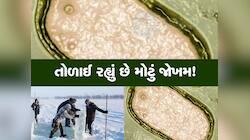 48000 કરતા વધુ વર્ષથી બરફ નીચે દટાયેલો 'શેતાન' હવે જાગ્યો, કોરોના કરતા મોટું જોખમ