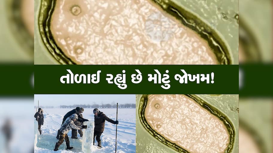 48000 કરતા વધુ વર્ષથી બરફ નીચે દટાયેલો 'શેતાન' હવે જાગી ગયો, કોરોના કરતા પણ મોટું જોખમ!
