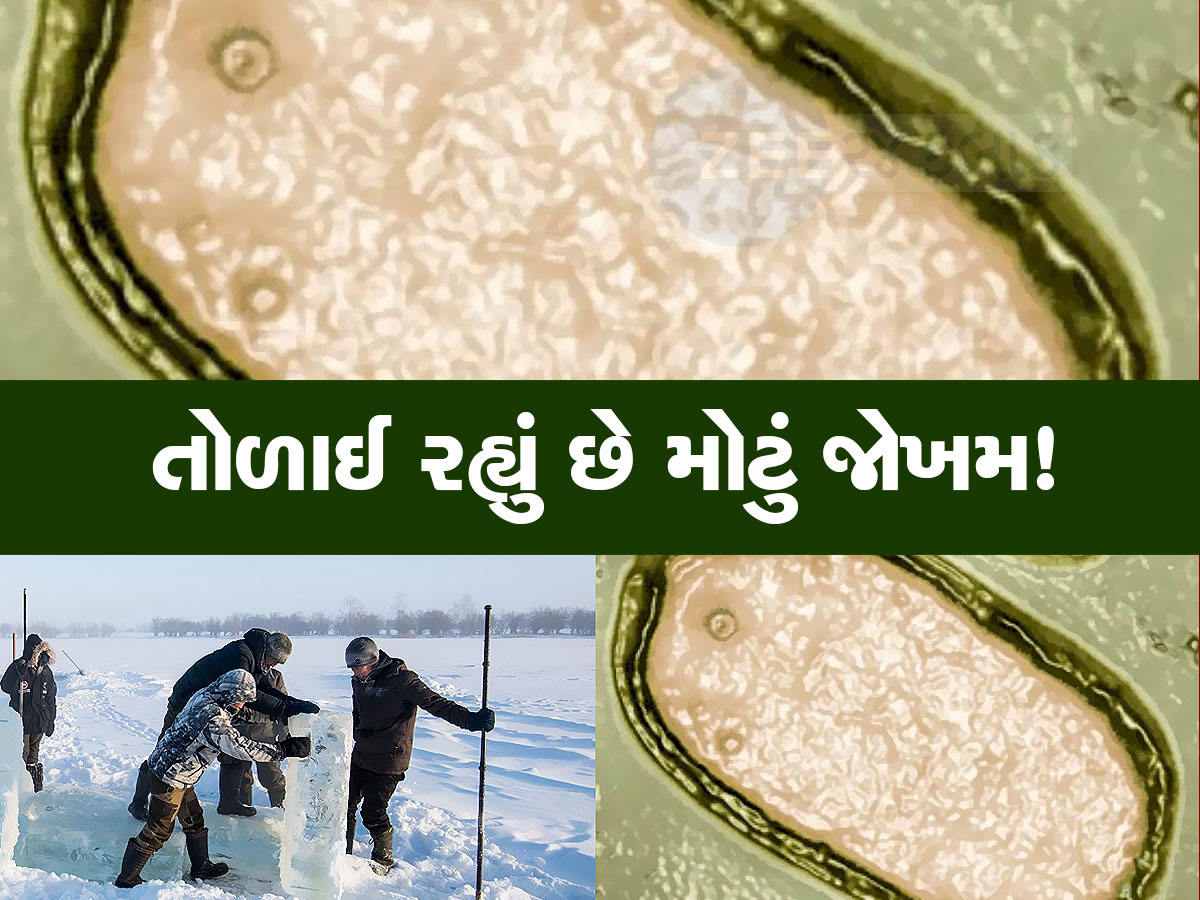 48000 કરતા વધુ વર્ષથી બરફ નીચે દટાયેલો 'શેતાન' હવે જાગી ગયો, કોરોના કરતા પણ મોટું જોખમ! 48000 કરતા વધુ વર્ષથી બરફ નીચે દટાયેલો 'શેતાન' હવે જાગી ગયો, કોરોના કરતા પણ મોટું જોખમ!