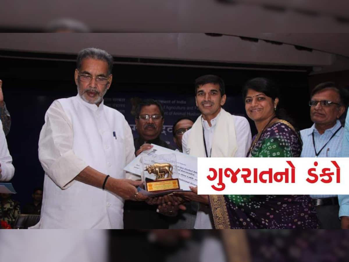 જામનગરનું ગૌરવ: 250 જેટલી ગીર ગાયોનું પરિવારની જેમ જતન કરે છે ધર્મેશભાઈ, જાણો સંઘર્ષની કહાની