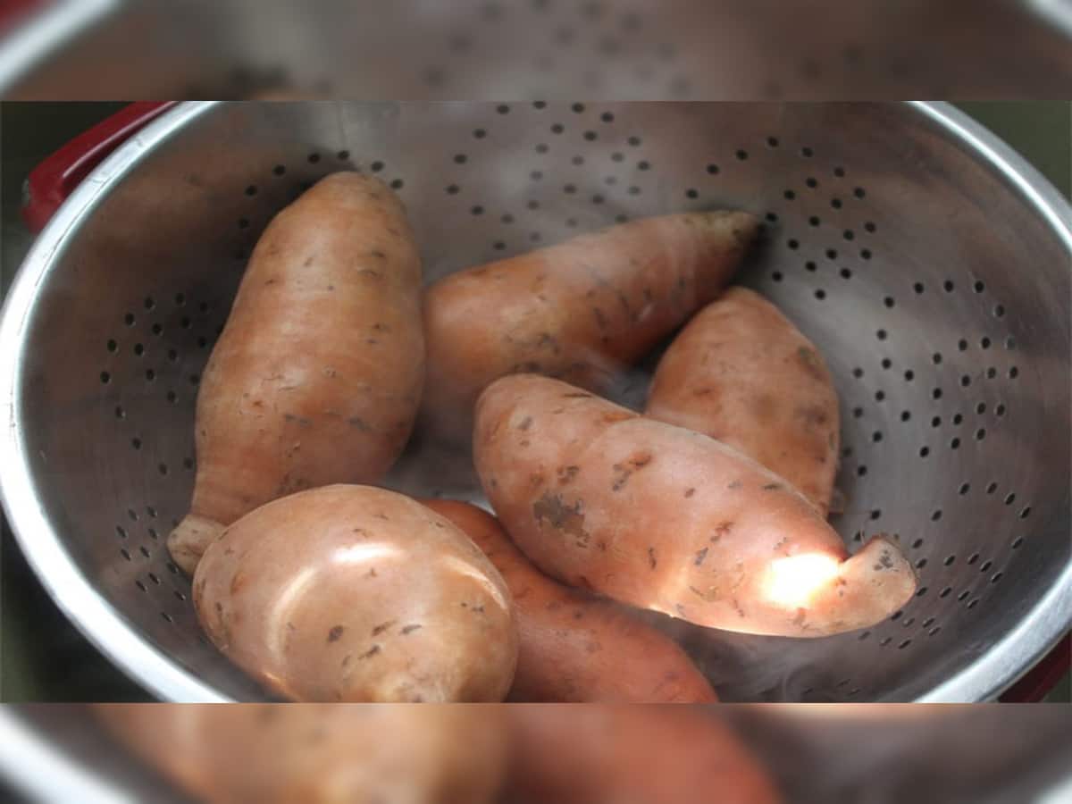 Sweet Potato: બાફેલા શક્કરિયા છે સ્વાસ્થ્યનો ખજાનો, ખાવાથી થશે આટલા ફાયદા